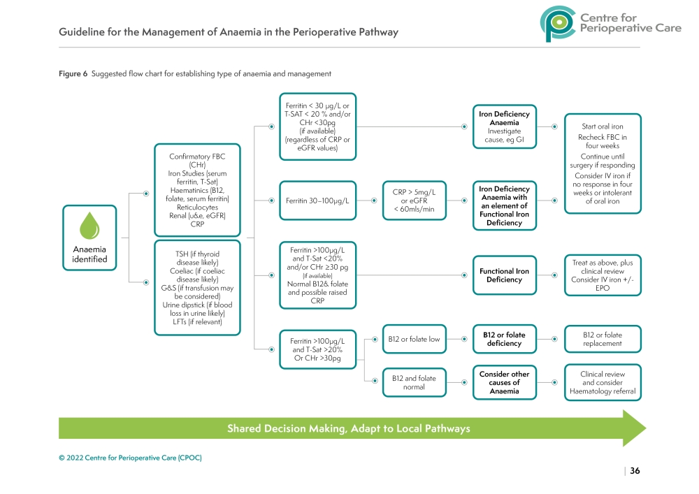 CPOC-AnaemiaGuideline-Infographic 