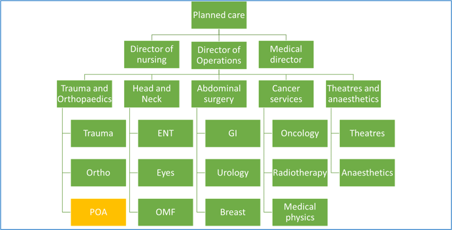 Organogram in 2018 at RBFT (POA under directorate of Trauma and Orthopaedics)