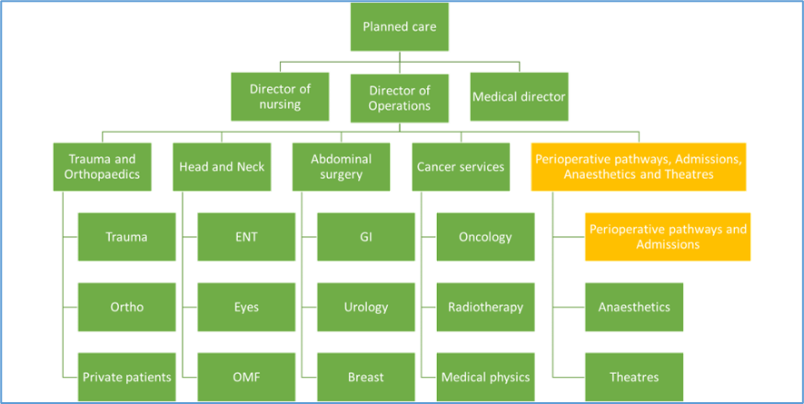 2023 - organogram at RBFT, updated structure to create new directorate